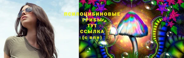 jwh Ладушкин