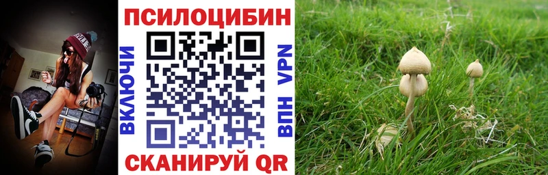 Псилоцибиновые грибы прущие грибы  маркетплейс клад  Бахчисарай 